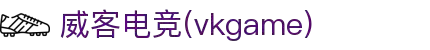 威客电竞 - 让每一份电竞才华都更有价值